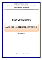 analyz morfo (216).pdf